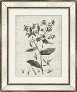 Gold Flower Print I With Antique Mirror Frame