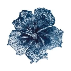 Blue Hibiscus II Limited Edition Framed Print By Alissa Wright