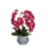 Nani Orchid In Pot Hot Pink