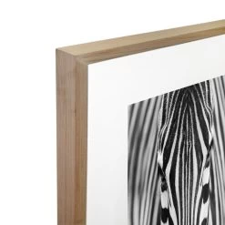 Zebra Acrylic Print With Frame -Home Decoration Store shopify 4e4bffe66e98da595eeca048098671a4 zebra acrylic print with frame