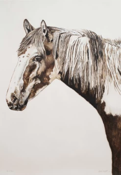 Arnie Limited Edition Framed Print By Alissa Wright 6 Arnie Limited Edition Framed Print By Alissa Wright -Home Decoration Store shopify 5b47000740e6a6fadfe46fd95d3e3ae7 arnie limited editiona framed print by alissa wright