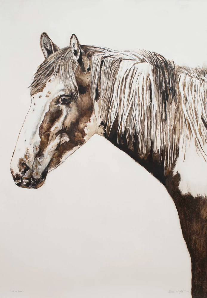 Arnie Limited Edition Framed Print By Alissa Wright 1 Arnie Limited Edition Framed Print By Alissa Wright