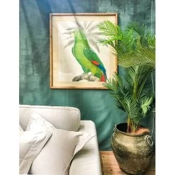 Parrot Print Wall Art -Home Decoration Store shopify 5cd14cc5aec0a43561156c91edbfee51 bird study framed print