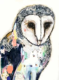 Prism Owl I Limited Edition Framed Print By Alissa Wright
