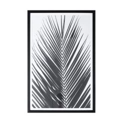 Mono Palm Leaf Framed Art