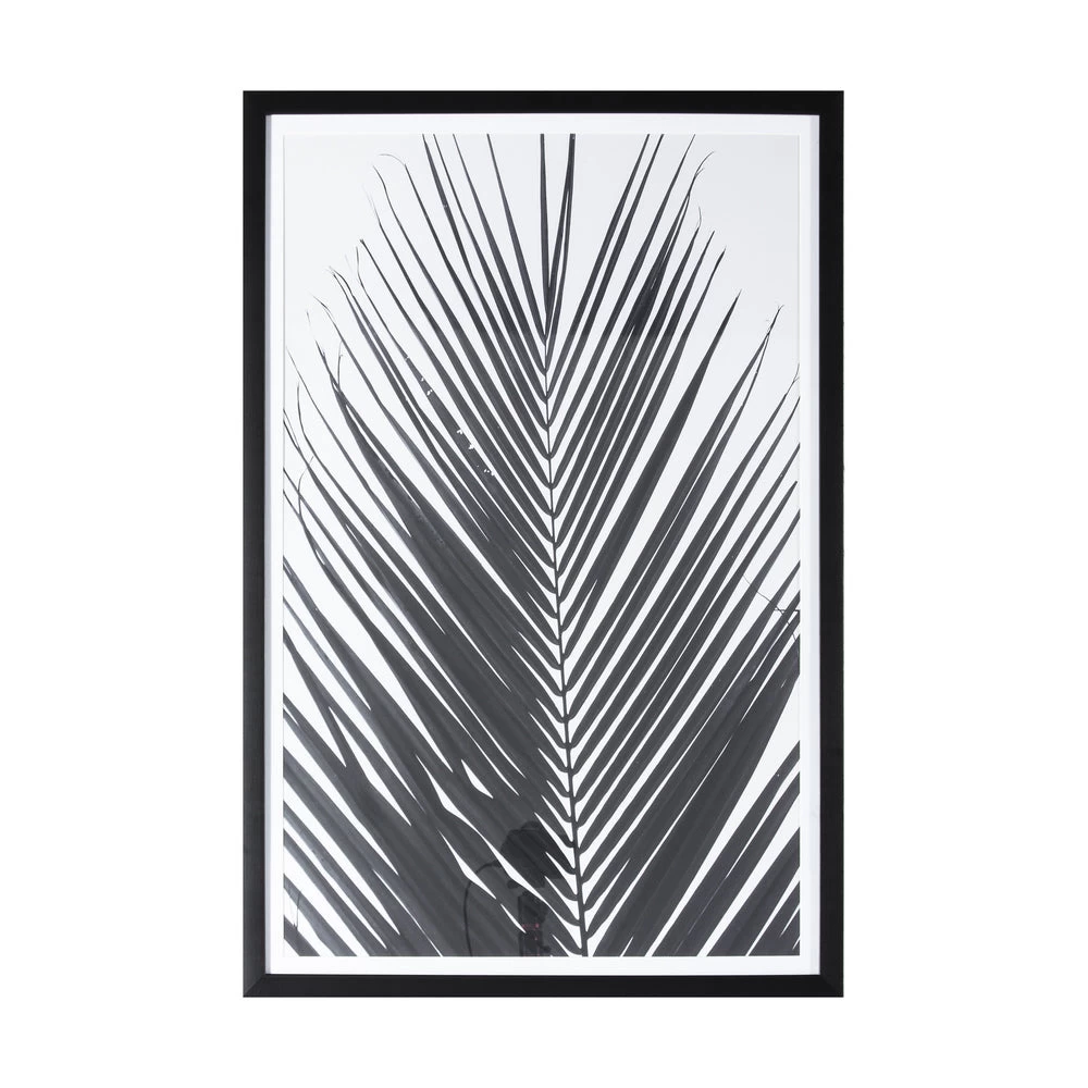 Mono Palm Leaf Framed Art 1 Mono Palm Leaf Framed Art