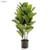 Fiddle Leaf Tree 93cm