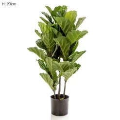 Fiddle Leaf Tree 93cm