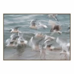 Birds Canvas Print With Floating Frame