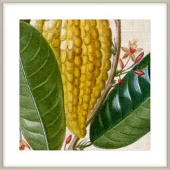 Cropped Turpin Tropicals VI Framed Print