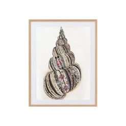 Coquille I Limited Edition Framed Print By Alissa Wright -Home Decoration Store shopify 7159257cd6d1665bd439b69f24ce8ac7 coquille i limited edition framed print by alissa wright b344ac4c 9083 46c9 9278 548e1d1c8774
