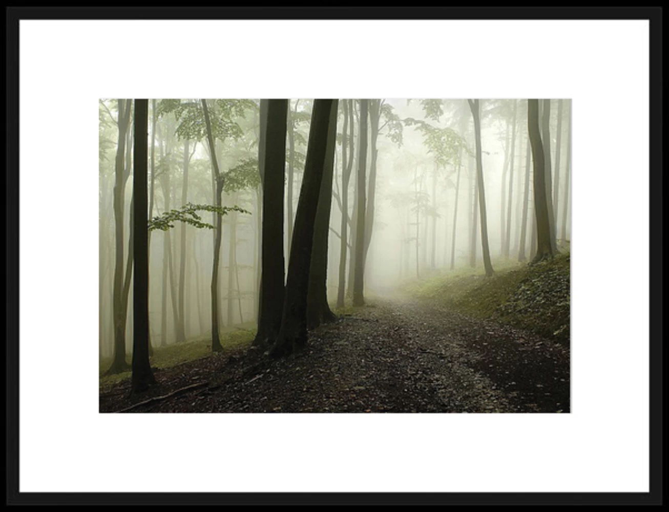 Green Woods I Framed Photographic Print 1 Green Woods I Framed Photographic Print