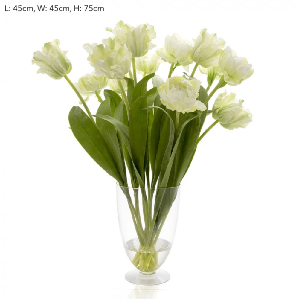 Harrogate Tulips In A Glass Vase White 1 Harrogate Tulips In A Glass Vase White
