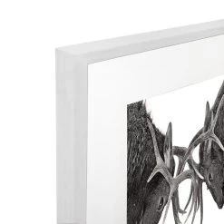 Eye To Eye Acrylic Print -Home Decoration Store shopify 8f9bcd969d711081ebd347958da3b8c1 eye to eye acrylic print