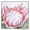 Fortunes In Bloom Canvas Print With Floating Frame