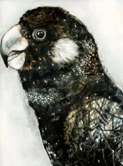 Desert Parrot II Limited Edition Framed Print By Alissa Wright