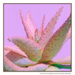 Agave Bloom Canvas Print With Floating Frame