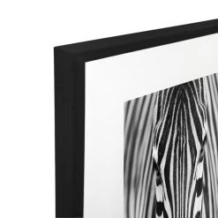 Zebra Acrylic Print With Frame -Home Decoration Store shopify 957da457d68b3aea8cba5b759152dcce zebra acrylic print with frame