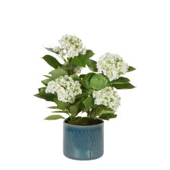 Hydrangea In Pot White 5 Hydrangea In Pot White -Home Decoration Store shopify 96723a8bb0c7f59a2872cbbd61aa7d82 hydrangea in pot white