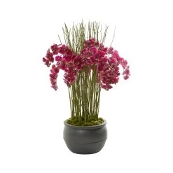 Pink Phalaenopsis In Black Planter