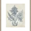 Indigo Blue Seaweed II Framed Print