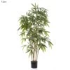 New Bamboo Tree 1.6m