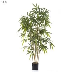 New Bamboo Tree 1.6m