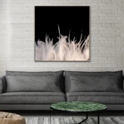 Feather Strong Photographic Canvas Print With Floating Frame -Home Decoration Store shopify GIR 077 feather strong SQ NAT RM