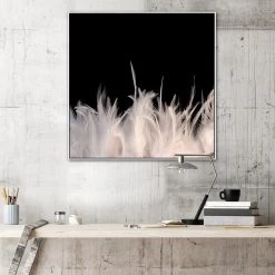 Feather Strong Photographic Canvas Print With Floating Frame -Home Decoration Store shopify GIR 077 feather strong SQ WHT RM