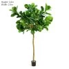 Fiddle Leaf Giant Tree 320cm