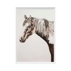 Arnie Limited Edition Framed Print By Alissa Wright 7 Arnie Limited Edition Framed Print By Alissa Wright -Home Decoration Store shopify a38bdfc10b18296d1f12c8130ce3b9b4 arnie limited editiona framed print by alissa wright