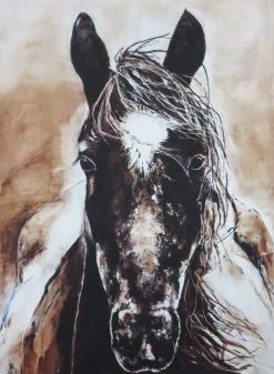 Zora Limited Edition Framed Print By Alissa Wright