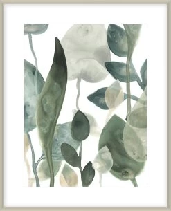 Water Leaves III Framed Print