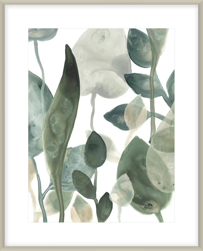 Water Leaves III Framed Print 1 Water Leaves III Framed Print