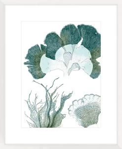 Seaside Seaweed II Framed Print