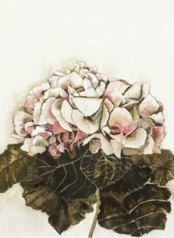 Summer Garden II Limited Edition Framed Print By Alissa Wright