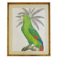 Parrot Print Wall Art