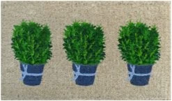 Rosemary Pots Doormat