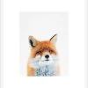 Fox Framed Print