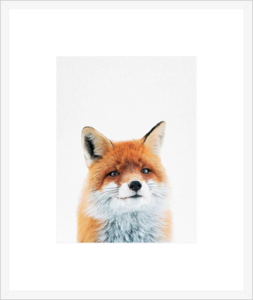 Fox Framed Print 1 Fox Framed Print