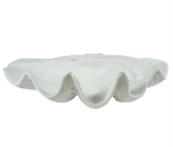 Clam Shell Decor -Home Decoration Store shopify afe890b2d015825ee9b561e435686b48 clam shell decor