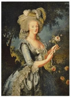 Marie Antoinette Tapestry With Rod