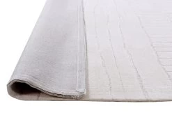 Lillian Textured Natural Rug - Ivory -Home Decoration Store shopify bffb1bff99dea126141da8d5cbaaa74d lillian textured natural rug ivory e666ea3f 1376 41d7 ac51 c59d25d26d01