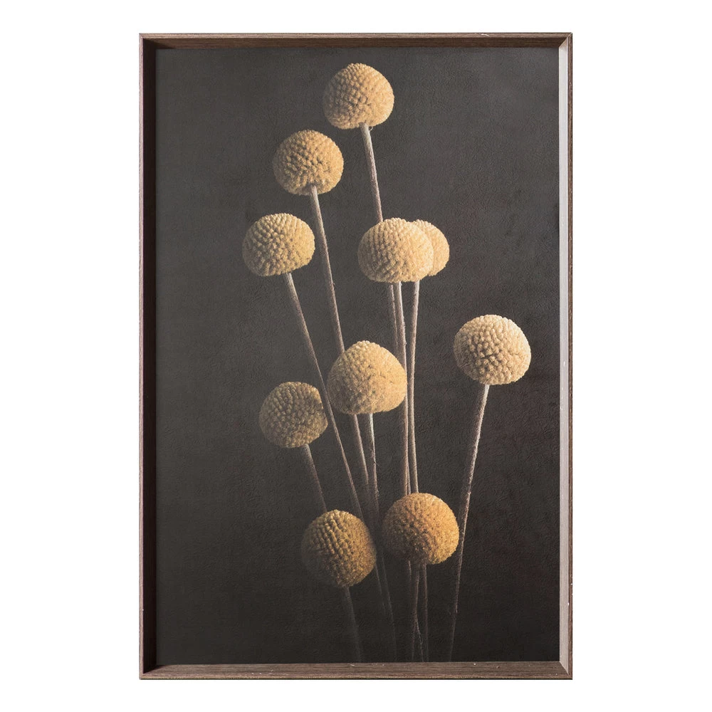 Yellow Craspedia Floral Stem Print 2 Yellow Craspedia Floral Stem Print - Image 2