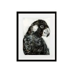 Desert Parrot I Limited Edition Framed Print By Alissa Wright -Home Decoration Store shopify cb6a13b7d3599250c1038ec0e4e65d7c desert parrot i limited edition framed print by alissa wright