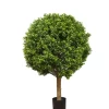 Boxwood Ball Tree 75cm