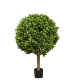 Boxwood Ball Tree 75cm