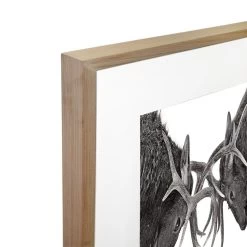 Eye To Eye Acrylic Print -Home Decoration Store shopify cfc30c5f08682d6abb8860200ab161c9 eye to eye acrylic print