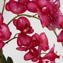 Nani Orchid In Pot Hot Pink -Home Decoration Store shopify de072c1a9c15660ad6e32cd459a0e6b5 nani orchid in pot hot pink