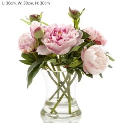 Loletta Peony In Glass Vase Dark Pink